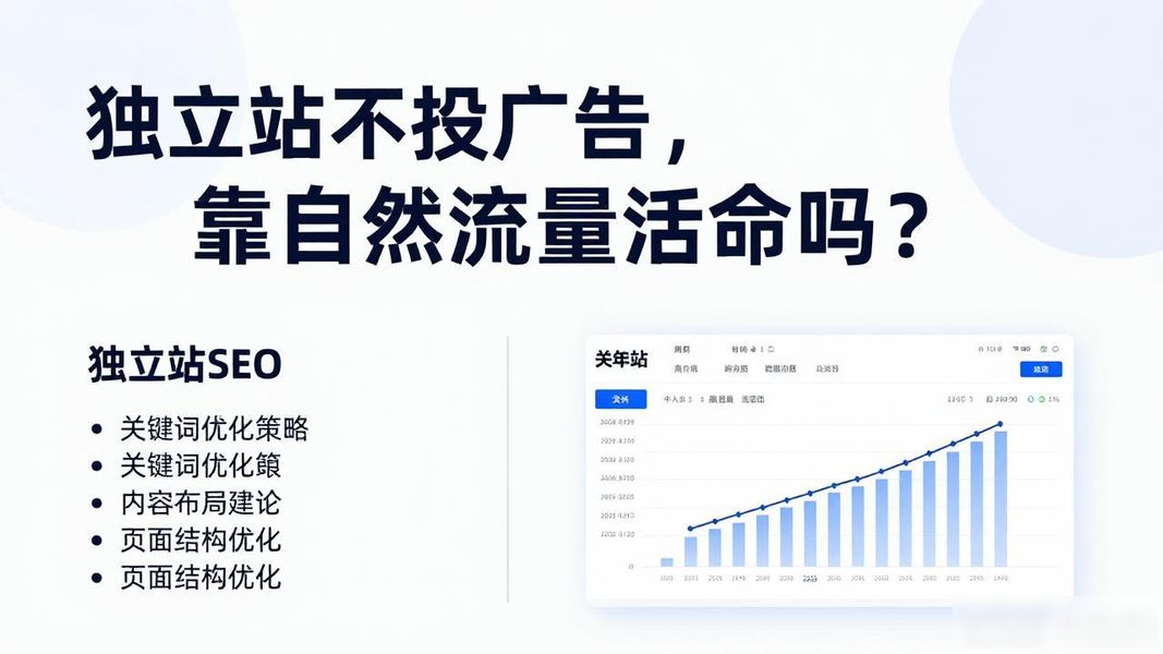 独立站不投广告，靠自然流量活命吗？